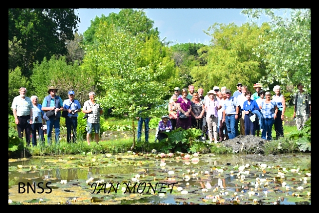 08 06 16_7076_edited-1.jpg - BENNETTS WATER GARDEN, NEAR WEYMOUTH, DORSET - 8.6.16